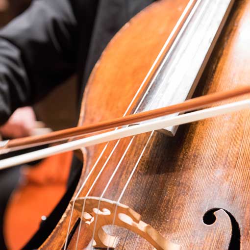 Close-up shot of a person playing the cello